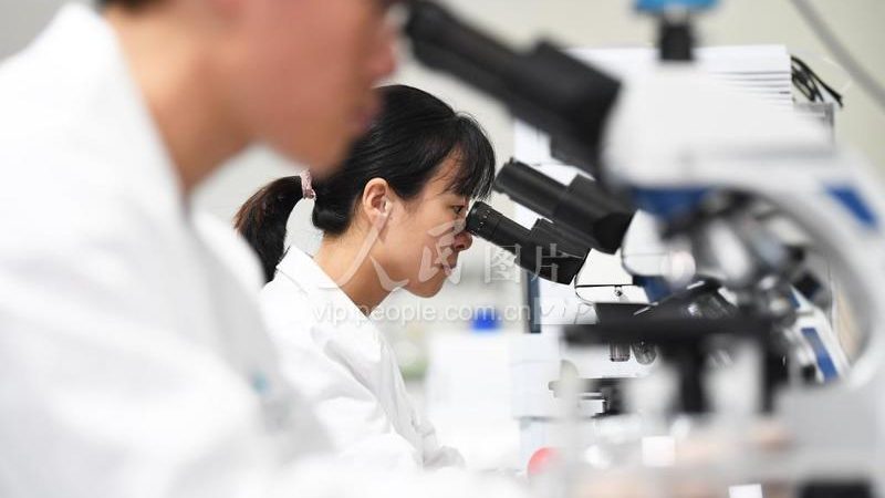 分子生物学试剂批发，成本背后的考量因素**