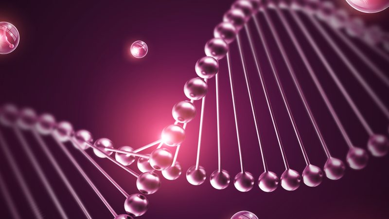 引物合成Oligo长度范围：精准设计，助力科研