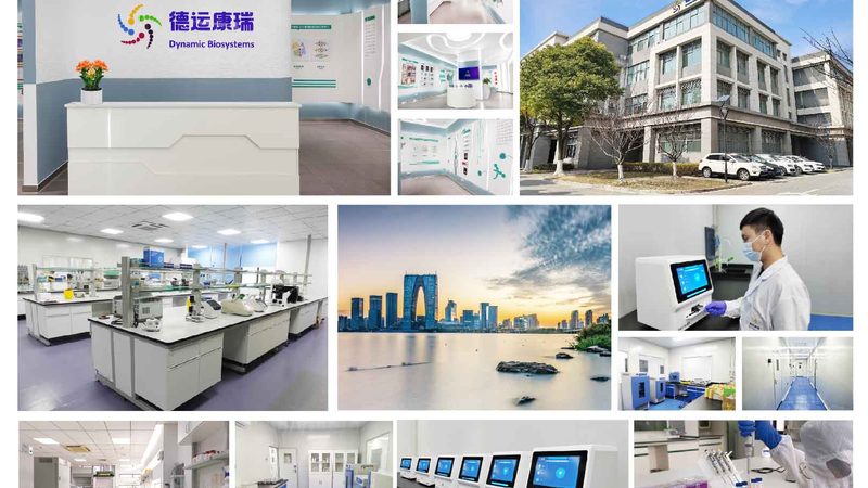细胞工厂中的关键因素：细胞培养密度的奥秘**