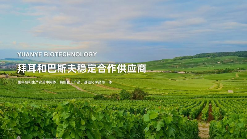 实验室耗材定制与普通耗材定制厂家