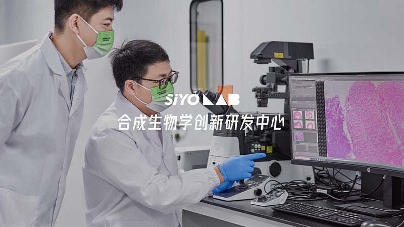CRS优化参数设置：揭秘提升实验效率的关键