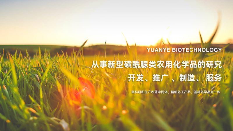 细胞培养箱维护：日常规范与注意事项**