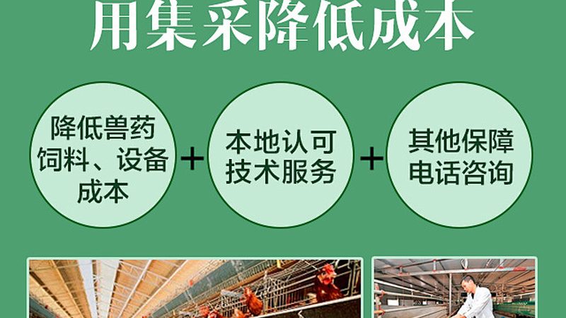 复合酶定制生产：注意事项与质量控制**