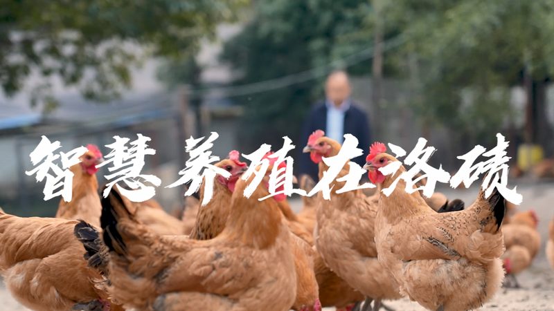 生物医药外包成本对比分析：揭秘成本构成与优化策略