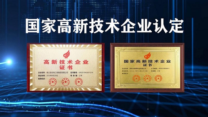 免疫细胞培养技术服务：定制化助力精准医疗**