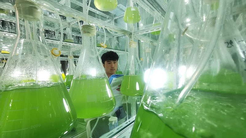 重组蛋白原液批发，如何选择可靠供应商？**